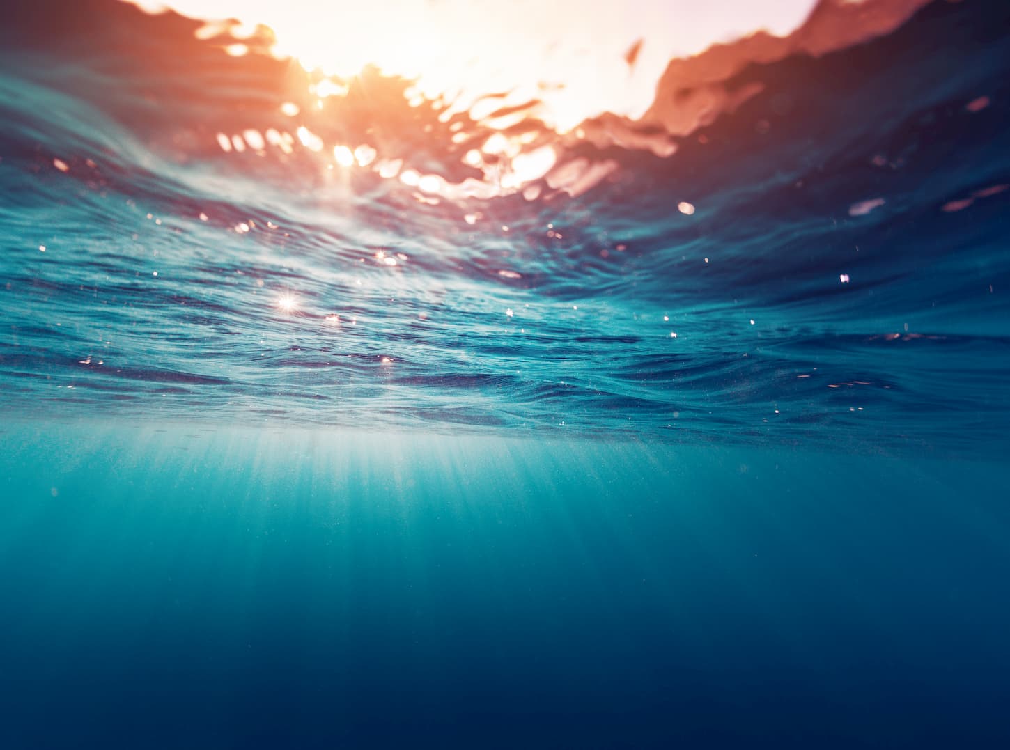 4Ocean avis : une initiative légitime et sincère ?