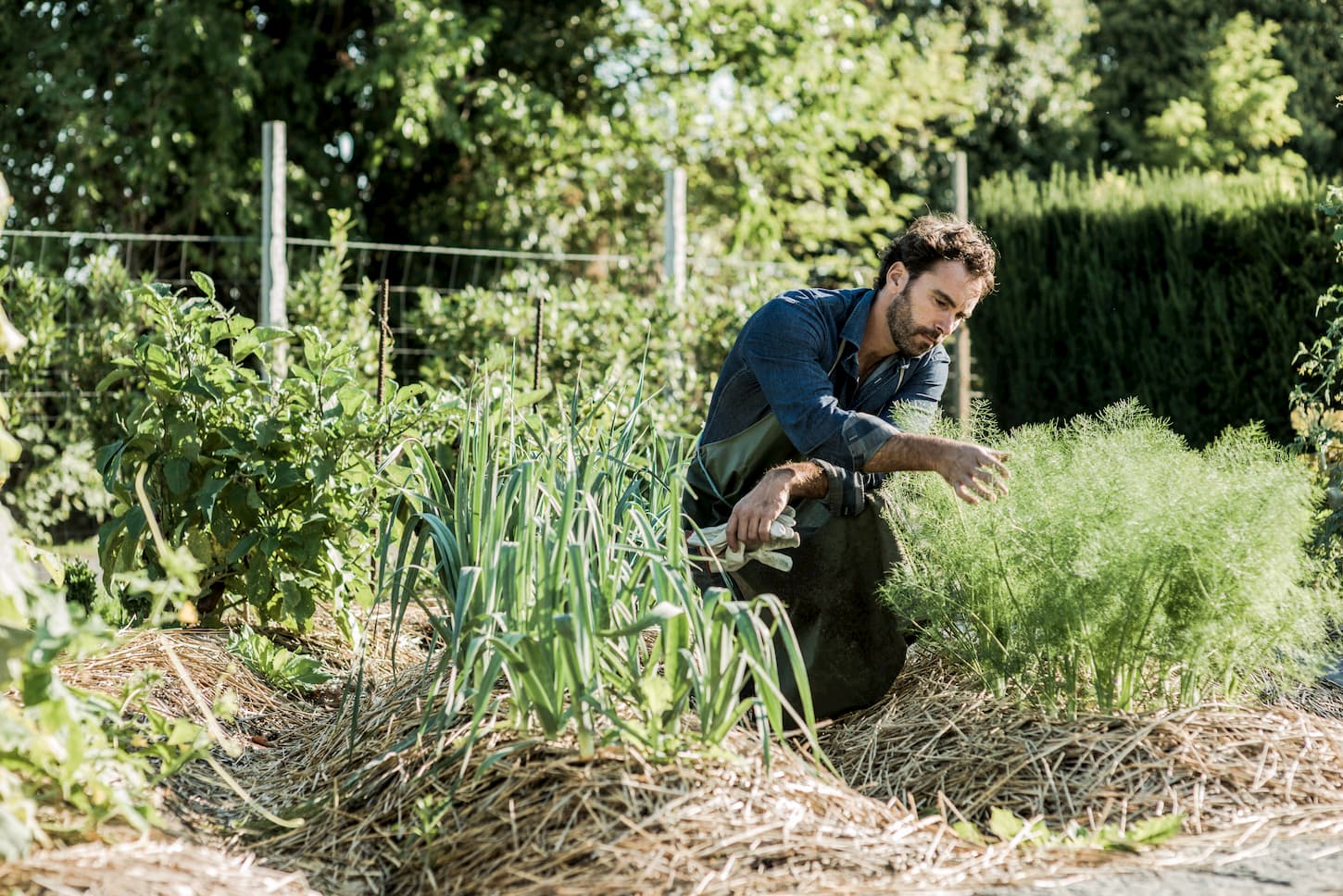 Tout le monde en parle, mais qu’est-ce que la permaculture ?